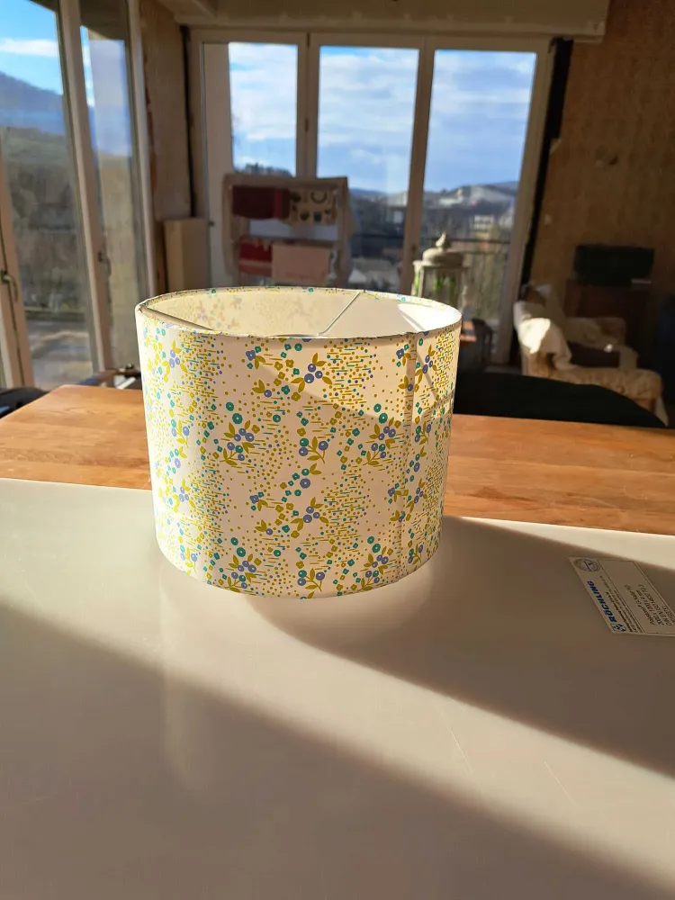 abat jours a la vente par fauteuil d izzy (3)